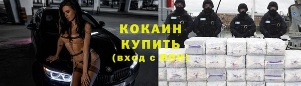бошки Богданович
